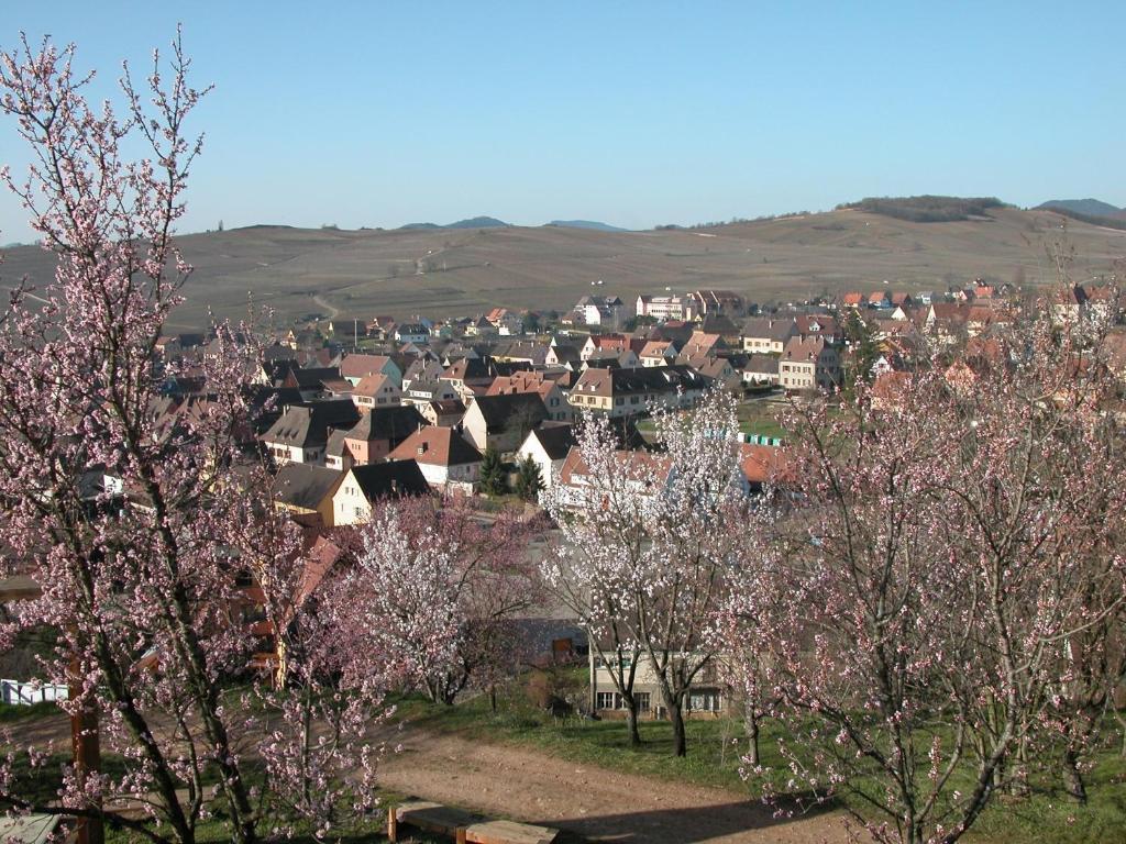 Gite Des Merles Mittelwihr Εξωτερικό φωτογραφία